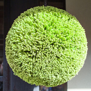 hp-new-releases-green